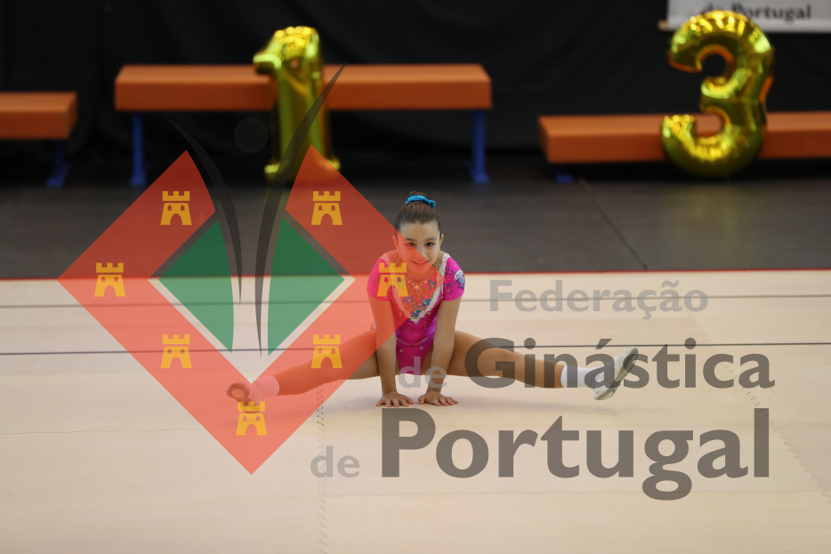1037_Taça de Portugal AER